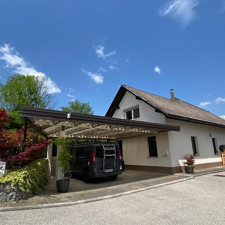 Apartma Nomad ノヴォ メスト エクステリア 写真